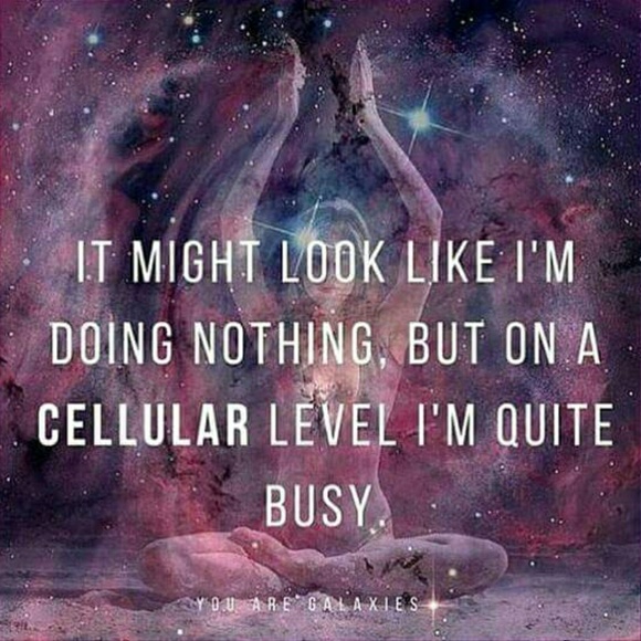 Meet your Posher, Leigh Lemmon - Picture 4 of 8